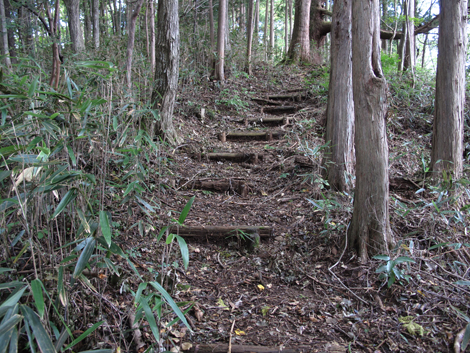 20181009hike (251)